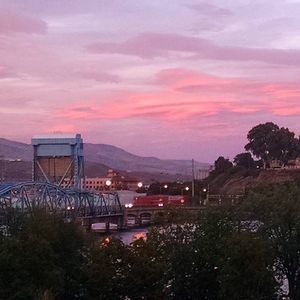 Meet your Posher, Robin